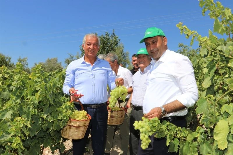 Toroslar’da bağ bozumu şenliği
