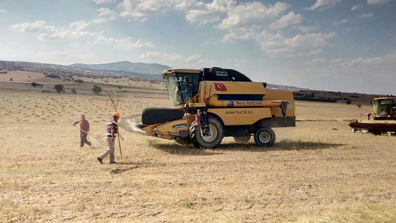 Anasonun başkentini kuraklık vurdu
