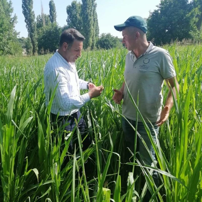 Kırklareli’nde üreticiler yaprak kurduna karşı bilgilendirildi
