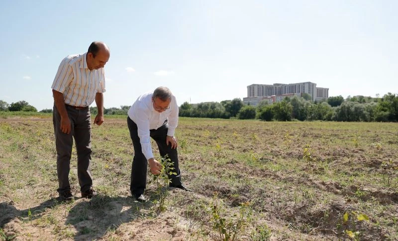 “Edirne Gülü Bahçesi” oluşturuldu

