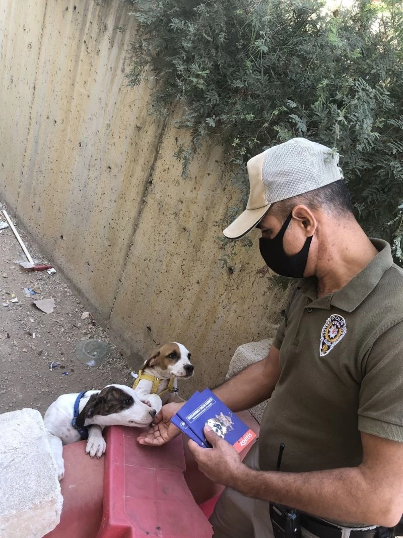 Hayvana eziyete 123 bin 470 lira para cezası
