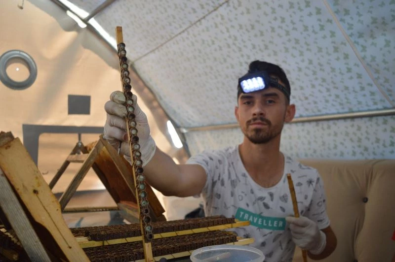  Şifa kaynağının kilosunu 10 bin liraya satıyor
