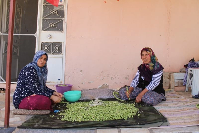 Bamya hasadı başladı
