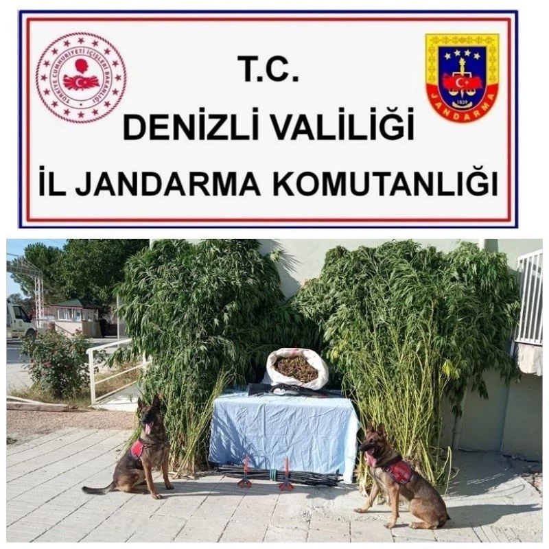 Jandarma tacirleri adım adım takip etti, 10 kilo esrarı satılamadan yakaladı
