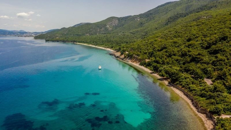 Valilik önlem aldı, ormanlık alanlara girişler yasaklandı
