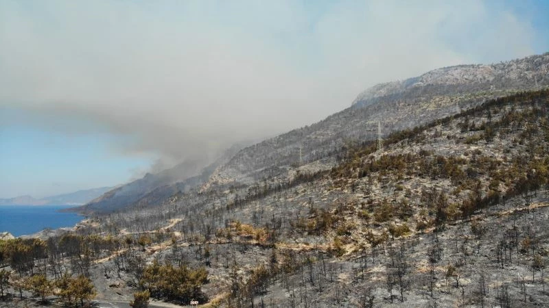 Yanan bölgeler drone ile havadan görüntülendi
