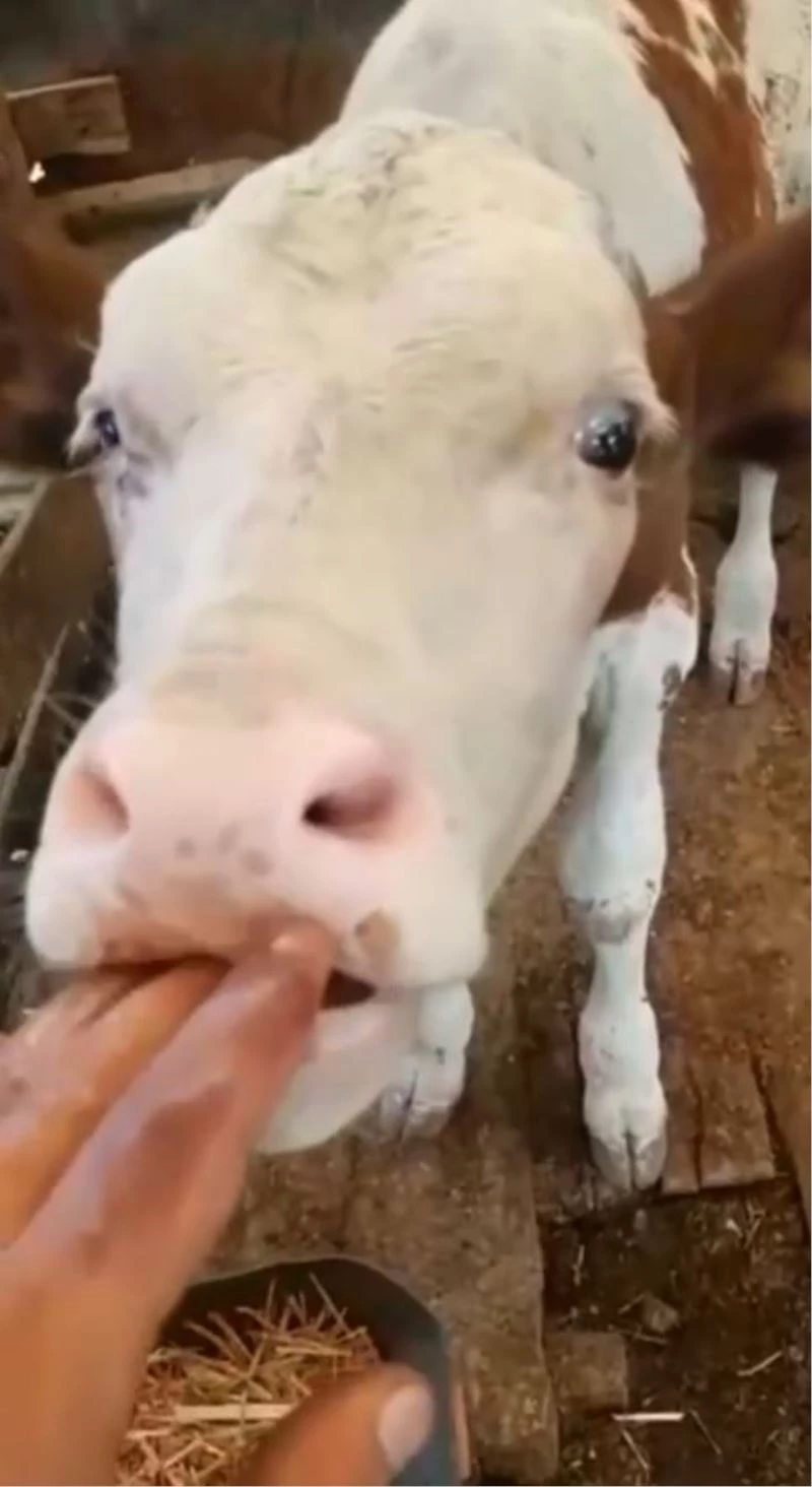 Yangın anında yaşadıklarını gözyaşları içerisinde anlattı, sözleri yürekleri burktu
