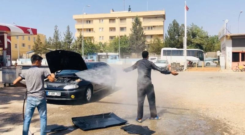 Termometreler 47 dereceyi gösterince ilginç görüntüler ortaya çıktı
