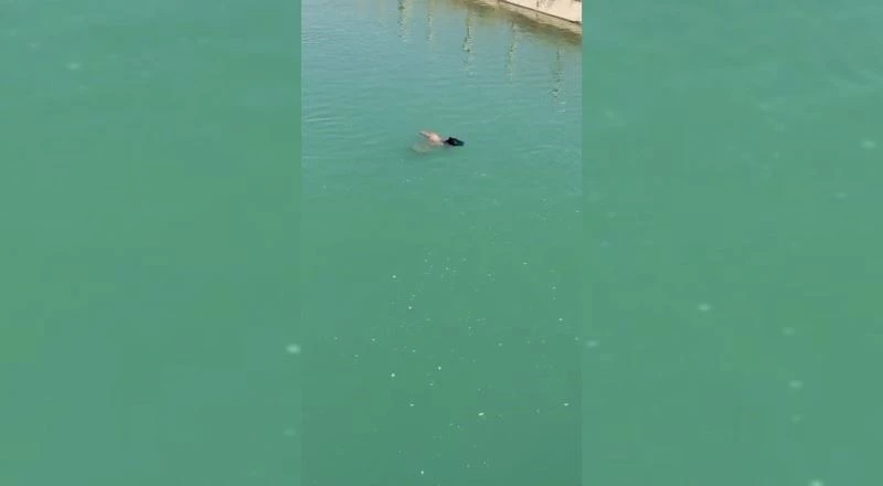 Sudaki genci çıkarmak için seferber oldular
