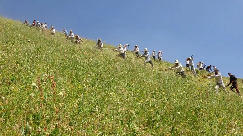 Tırpancıların imece usulü zorlu mesaisi
