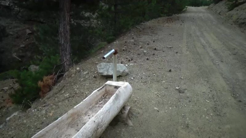 Kuraklıktan 100 yıldır akan ‘Cavur Pınarı’ da kurudu
