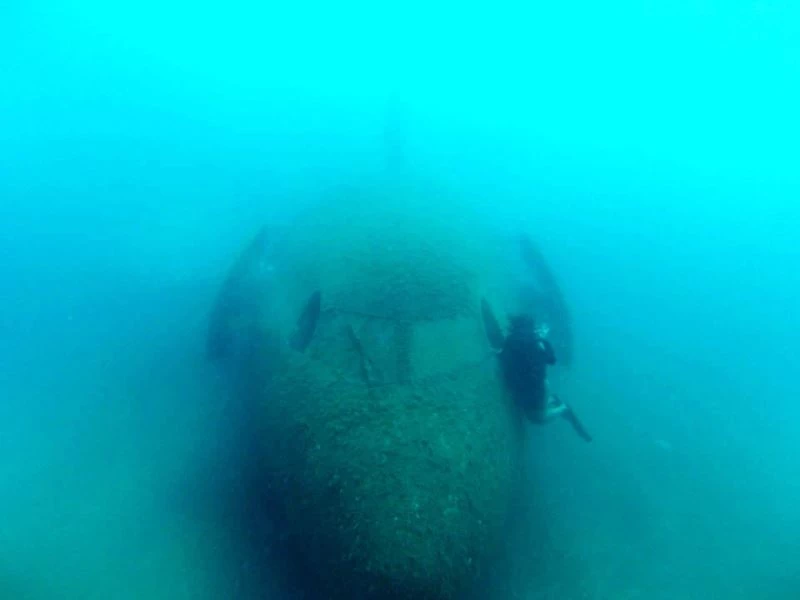 Dev uçağı görebilmek için dalış yapıyorlar
