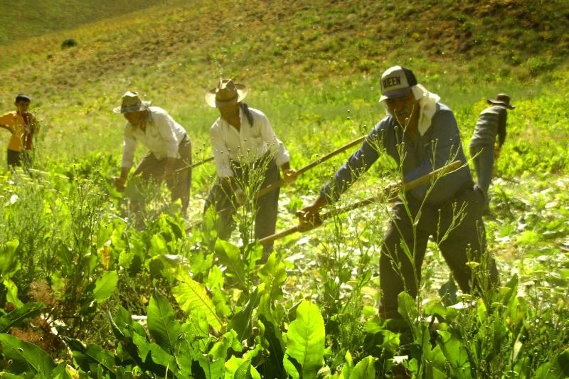 Yüksekovalı öğretmen köylerin güzelliğini fotoğrafladı
