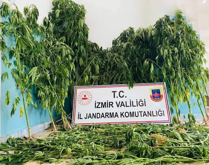 İzmir’de jandarmadan uyuşturucu baskınları: 12 gözaltı
