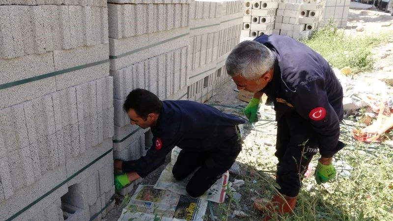 Briketler arasında mahsur kalan yavru köpek kurtarıldı
