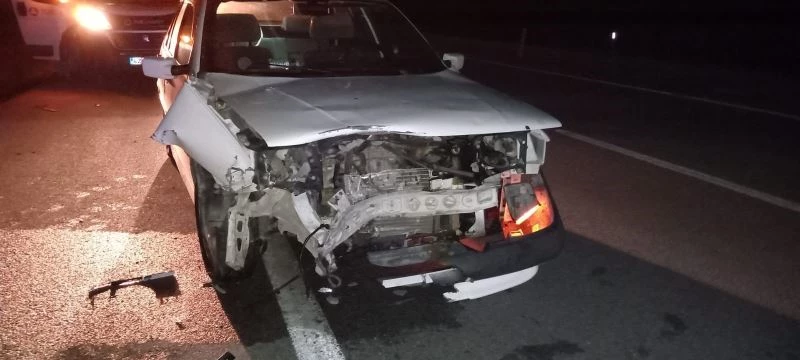 Karayoluna çıkan domuza çarpan otomobil hurdaya döndü
