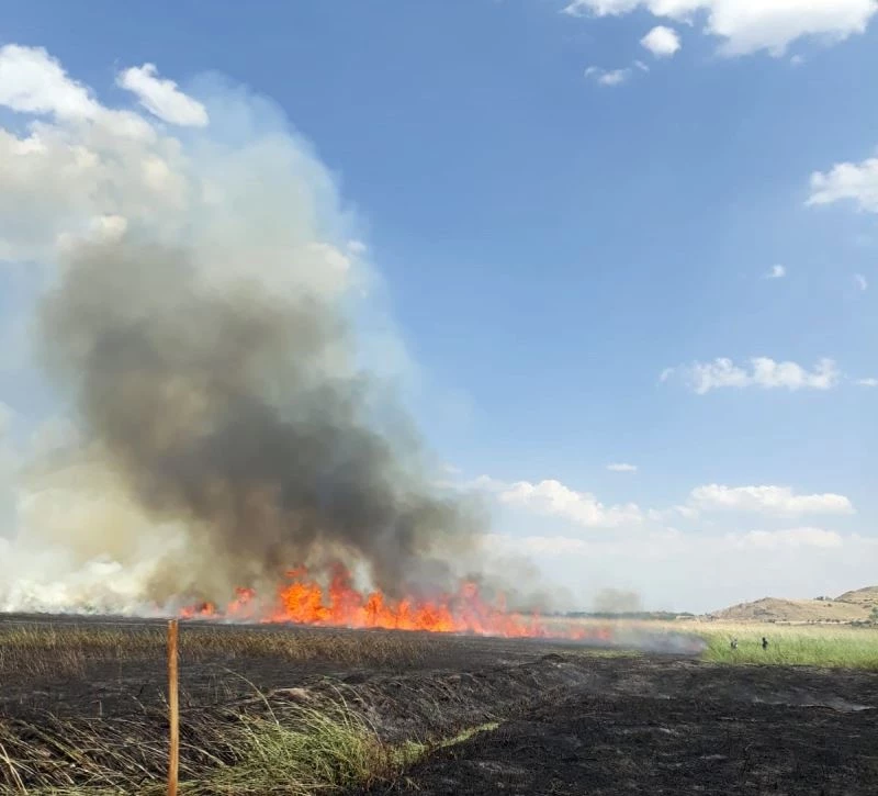 Kuş cennetinde korkutan yangın
