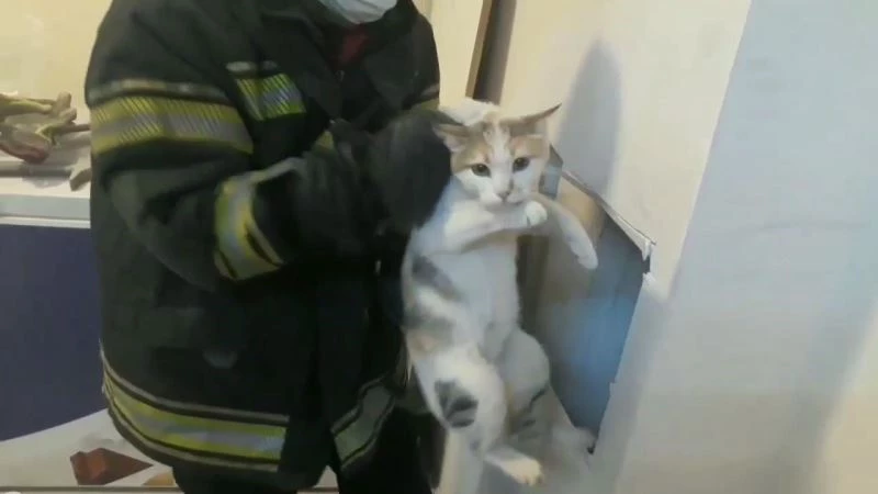 Havalandırma bacasına düşen kediyi itfaiye kurtardı
