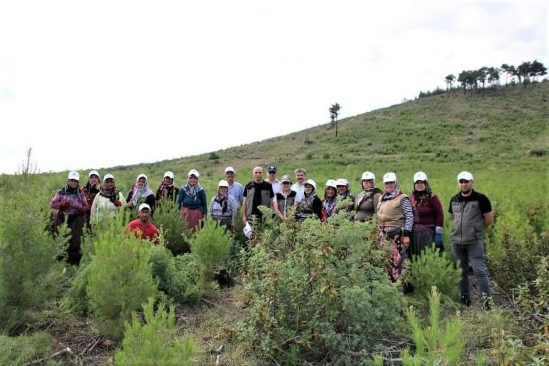 Fidanların daha güçlü büyümesi için
