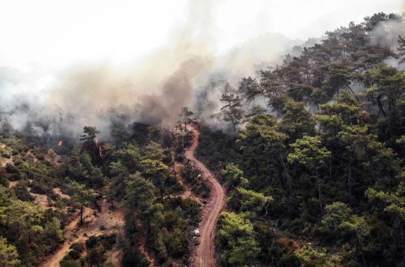 Acı tablo havadan görüntülendi, her yeri kaplayan dumanlar yürekleri dağlıyor
