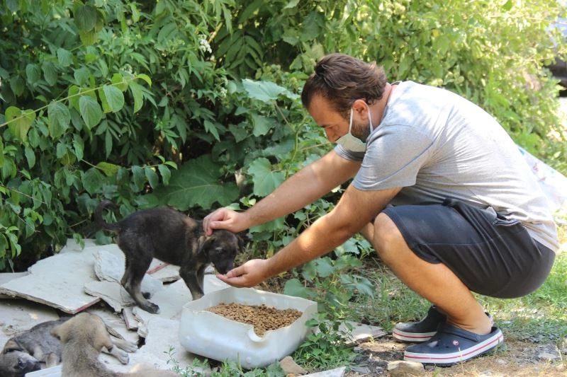Ormanlara girişler yasaklanınca hayvanlar için harekete geçtiler
