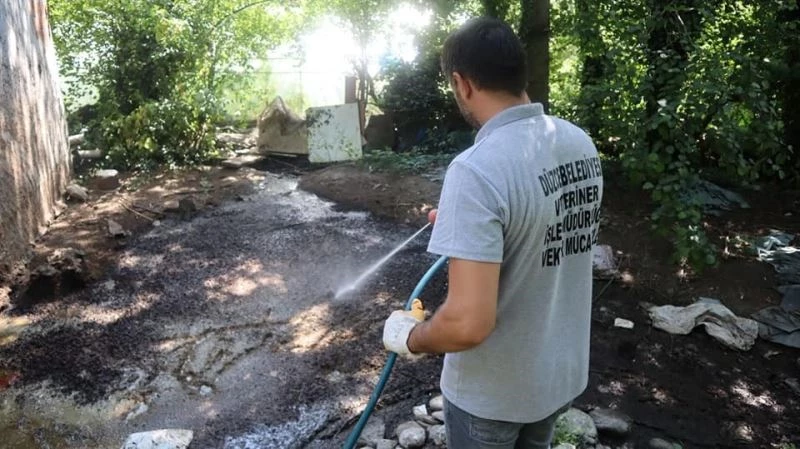 Sivrisinekle mücadele sürüyor
