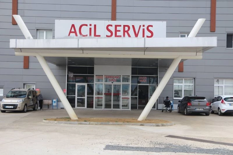 Dananın darbesi ile hastanelik oldu
