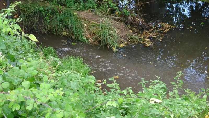  Göçbeyli ve Ballıca’nın kanalizasyon atığı, foseptik yerine Ömerli Barajı’na akıyor
