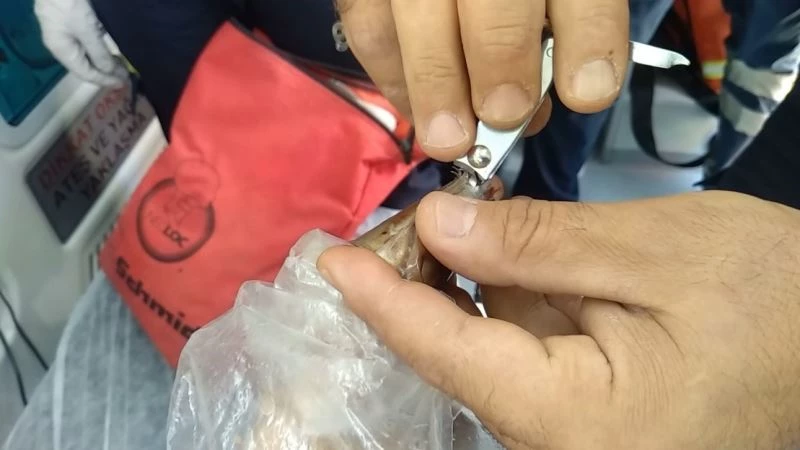 Isparta’da parmağı pasta aparatına sıkışan kadın, tırnak makasıyla kurtarıldı
