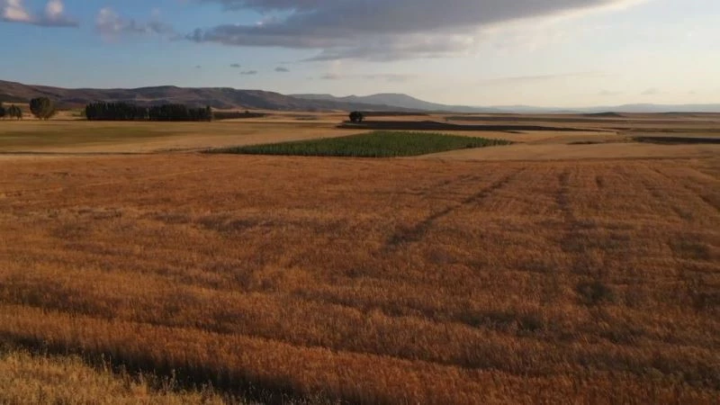 Evinde ürettiği bakteri ile tarımsal üretimini ikiye katladı
