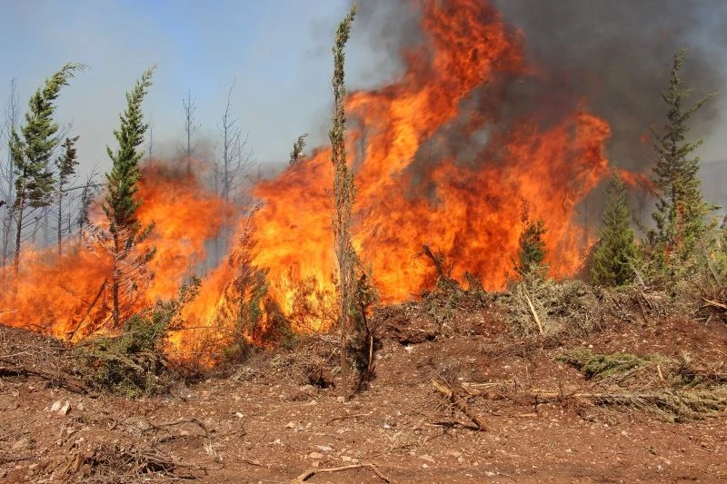 Mazı yolunda tekrar alevler yükseldi

