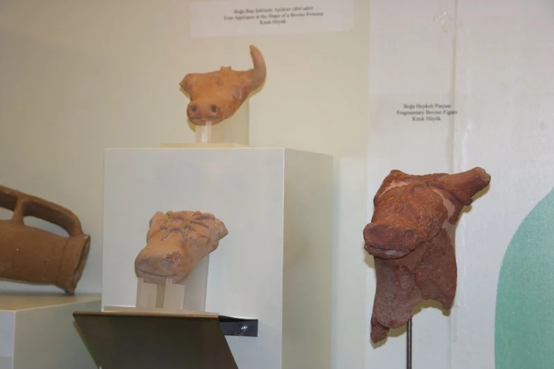 Niğde’de tarihi kazılardan çıkan eserler müzede sergiye sunuldu
