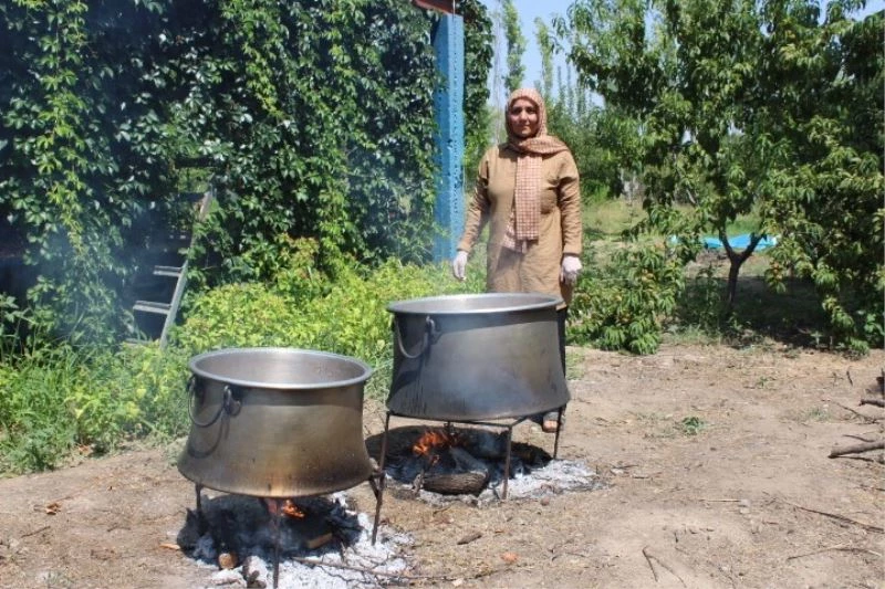 Iğdır’da kazanlar ‘şeftali reçeli’ için kaynıyor
