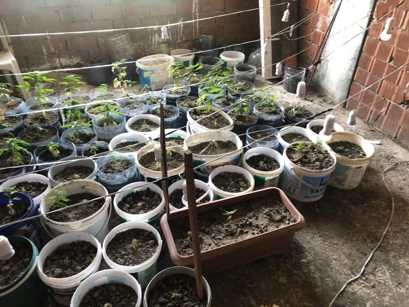 Evini uyuşturucu serasına dönüştürmüş
