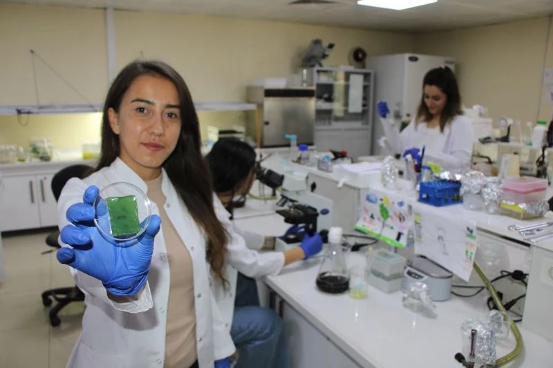 Amasya Üniversitesinden diyabetik yaralara umut olacak çalışma
