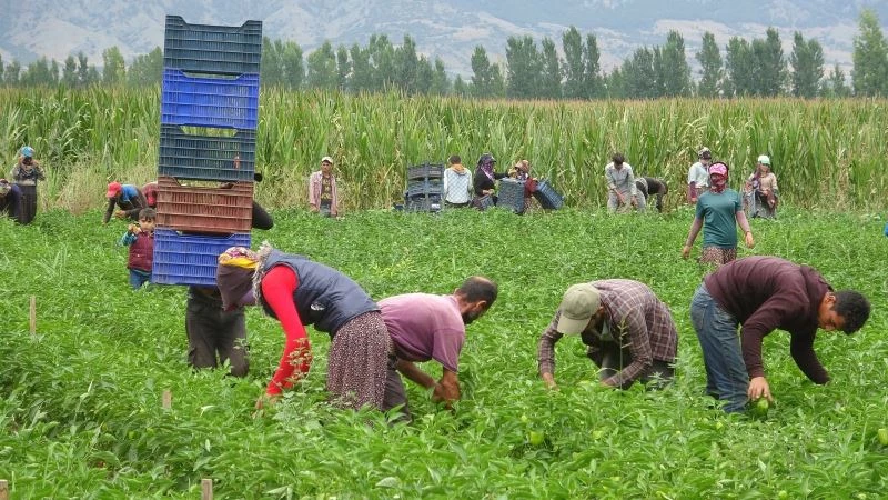 Cumhurbaşkanı Erdoğan talimat vermişti, Tarım Kredi Kooperatifleri eleştirilerin odağında
