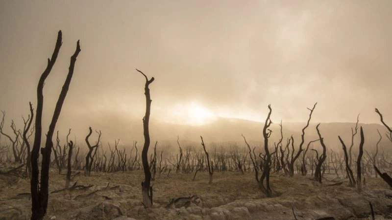 EGİAD Yönetim Kurulu Başkanı Yelkenbiçer: “İklim değişikliği insanlık için kırmızı alarm”

