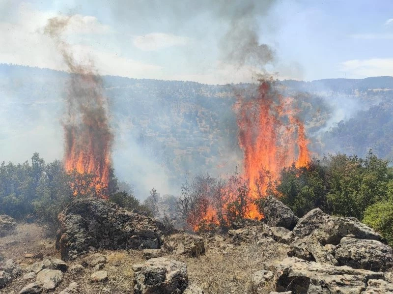 Mahallede anonsu duyan yangına koştu
