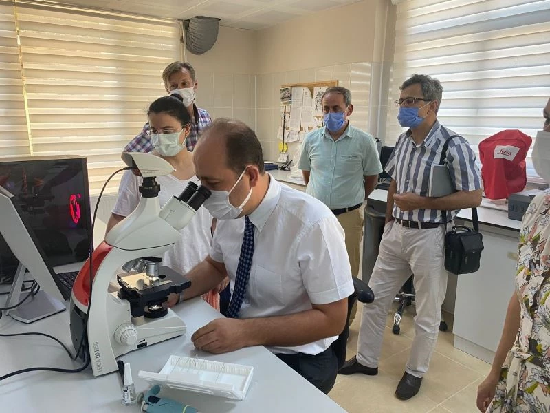 Tekirdağ’da buğday analizleri başladı: Dış armatörlere binlerce dolar akmayacak
