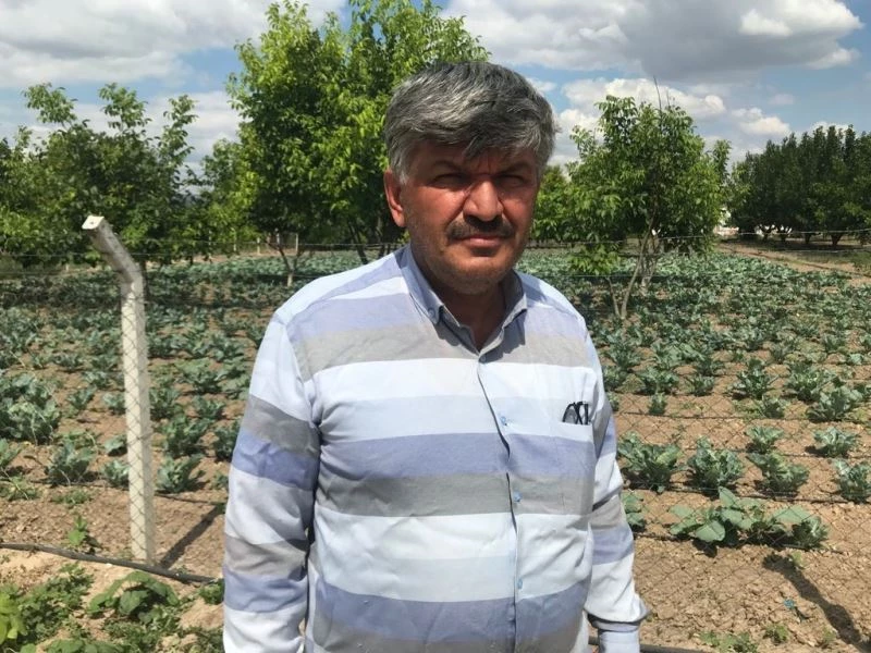 Tarlam temizlensin derken verimden olmayın
