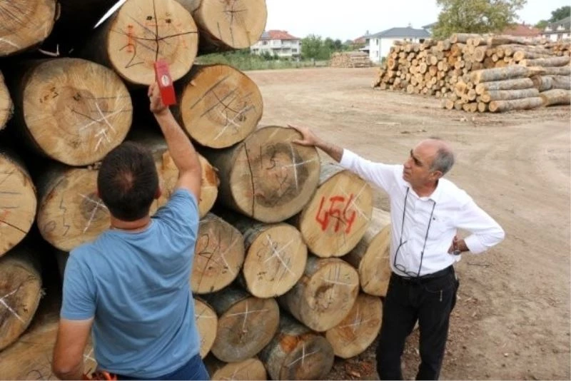 Düzce’de 457 bin metreküp odun üretildi
