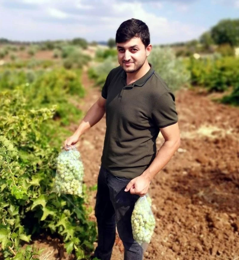 Hasat öncesi pestisit denetimi
