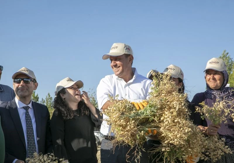 Atalık Gülnar nohudunun ilk hasadı, Başkan Seçer’in katılımıyla yapıldı
