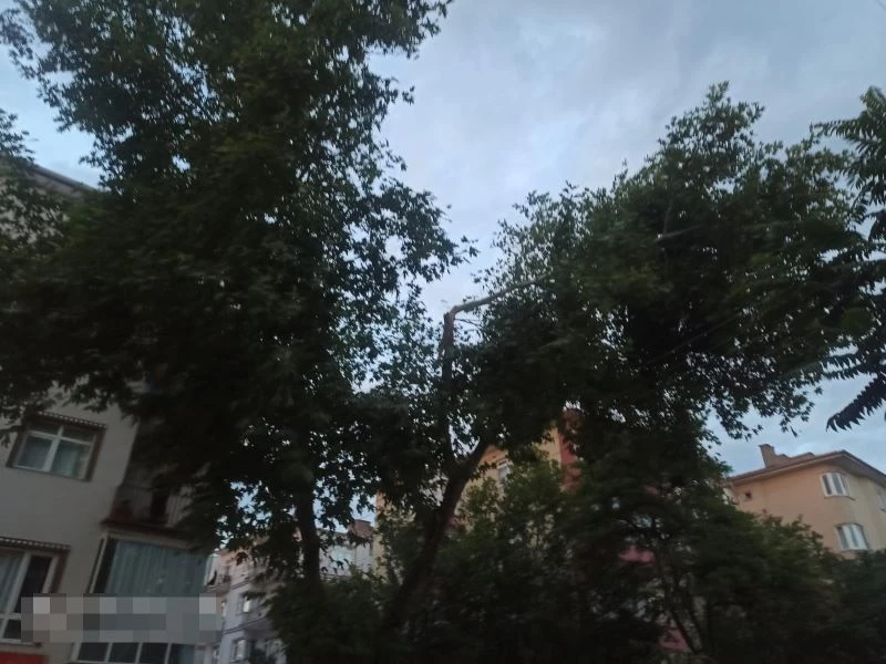 Ankara’da şiddetli rüzgar ağaçların dallarını kırdı
