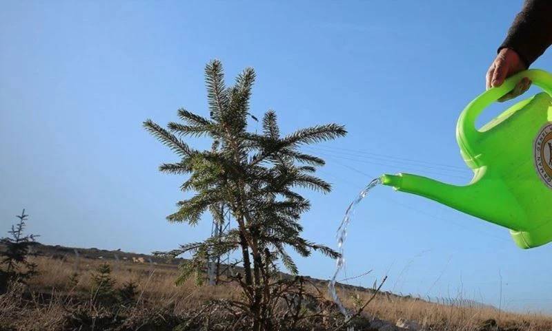 Orman Genel Müdürü Karacabey yangınlara ilişkin açıklamada bulundu
