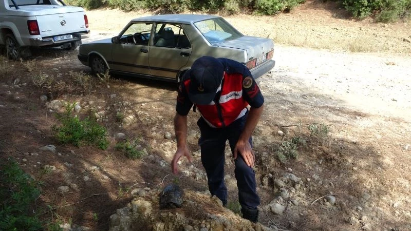 Manavgat’ta jandarma, kaplumbağayı yanmaktan kurtardı
