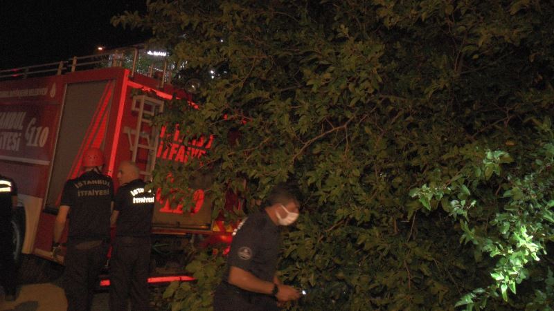 Kartal’da çürük dut ağacı park halindeki aracın üzerine devrildi
