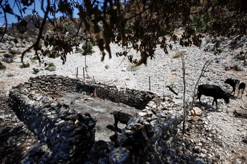 Hayvanlarının yanarak telef olmasının acısını yaşayan çoban, hasar gören evini terk etmiyor