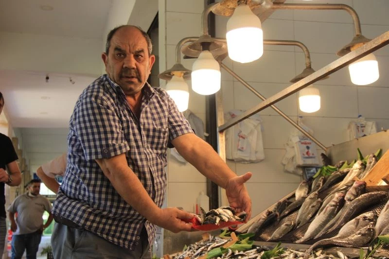 Balık avı sezonu öncesi fiyatlar normal seyrediyor
