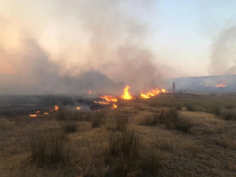 Ayvalık’ta aynı saatlerde çıkan iki ayrı maki yangını zamanında müdahaleler ile söndürüldü
